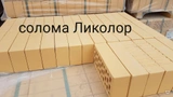 Кирпич облицовочный одинарный Солома Ликолор 250х120х65 мм